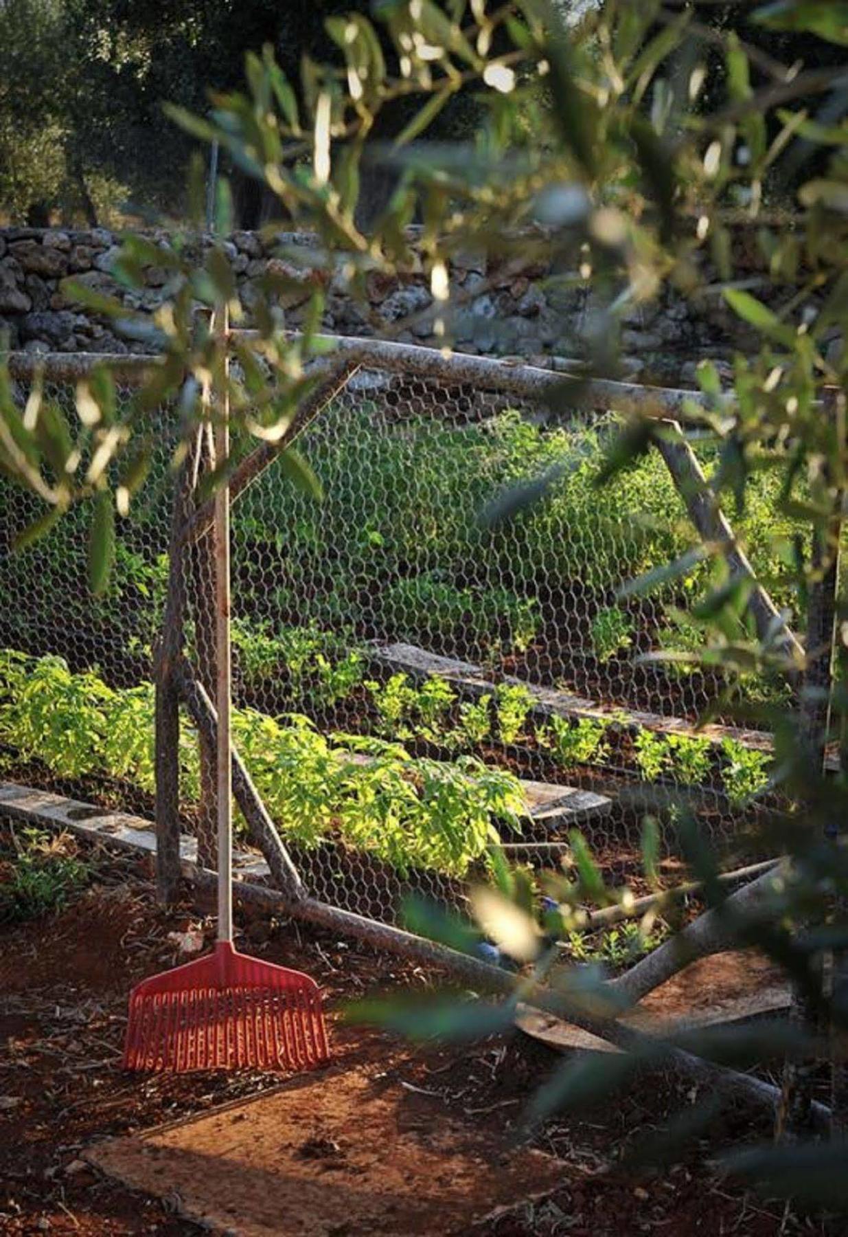 Masseria Piccapicca Morciano di Leuca Eksteriør billede